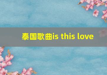 泰国歌曲is this love